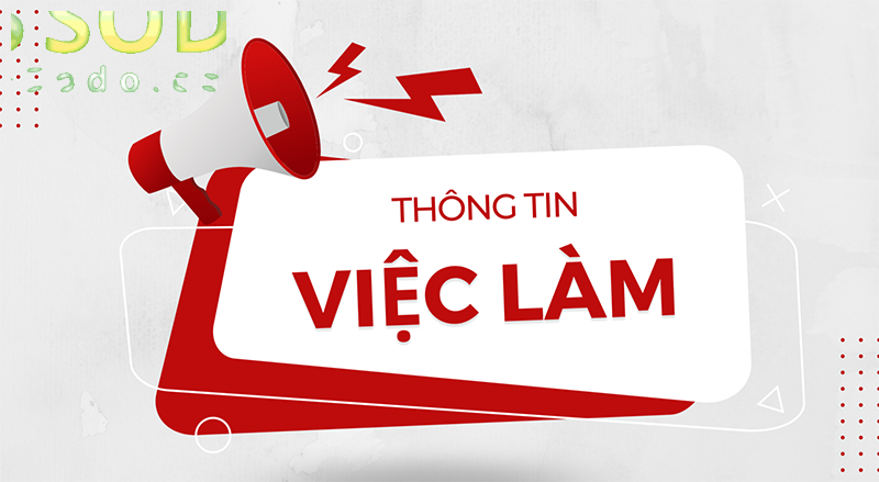 Tuyển dụng cộng tác viên tại 79sodo